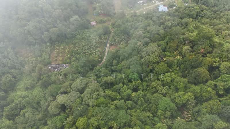 Tanah Pertanian untuk Dijual di Kuala Lipis (Pahang) - Vincent Tee - Exterior - PropertyGuru.com.my