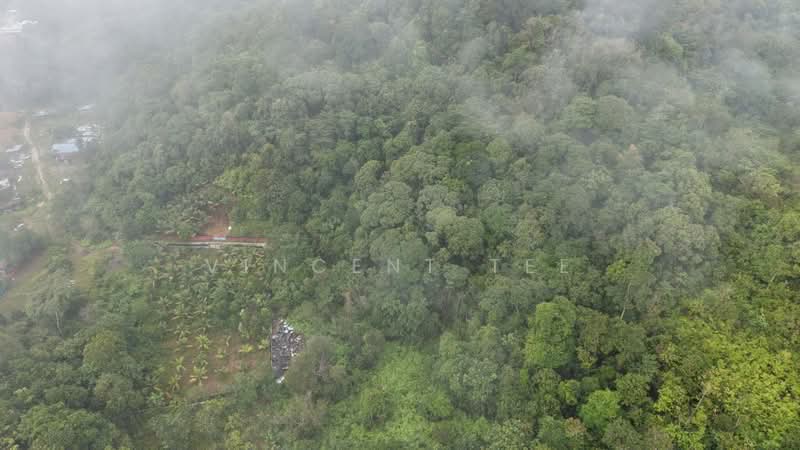 Tanah Pertanian untuk Dijual di Kuala Lipis (Pahang) - Vincent Tee - PropertyGuru.com.my