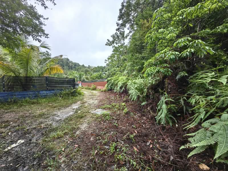 Tanah Pertanian untuk Dijual di Kuala Lipis (Pahang) - Vincent Tee - Exterior - PropertyGuru.com.my