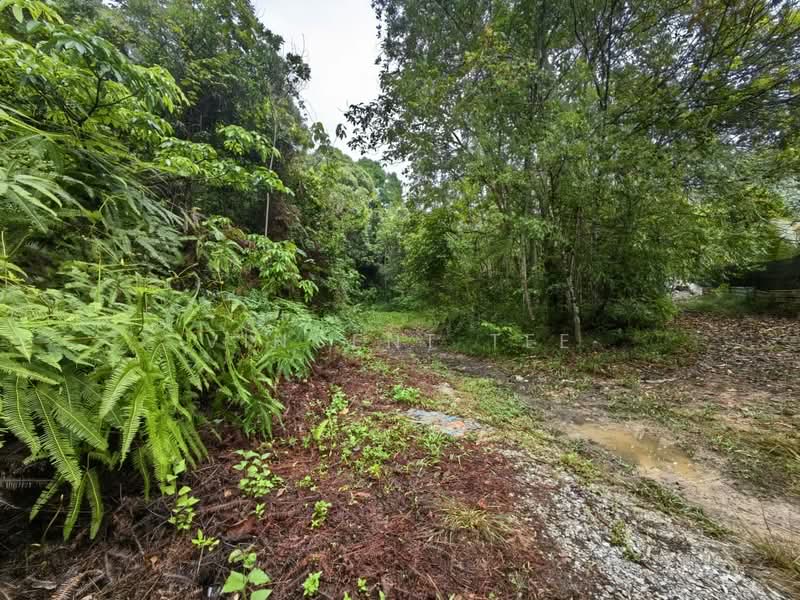 Tanah Pertanian untuk Dijual di Kuala Lipis (Pahang) - Vincent Tee - Exterior - PropertyGuru.com.my