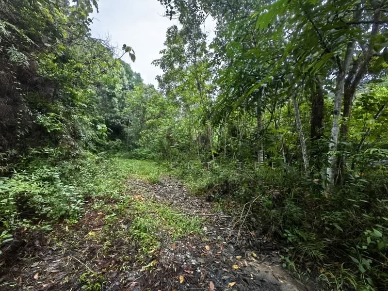 Tanah Pertanian untuk Dijual di Kuala Lipis (Pahang) - Vincent Tee - Exterior - PropertyGuru.com.my
