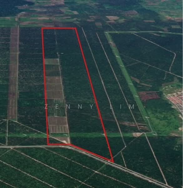 Agricultural Land for Sale in Tanjong Duabelas (Selangor) - Zenny Lim - Exterior - PropertyGuru.com.my