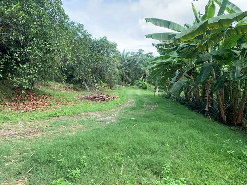 Agricultural Land for Sale in Morib (Selangor) - Alvin Seah - Exterior - PropertyGuru.com.my