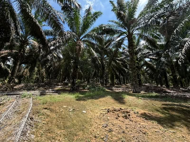 Agricultural Land for Sale in Kulai (Johor) - KS Chin - Exterior - PropertyGuru.com.my