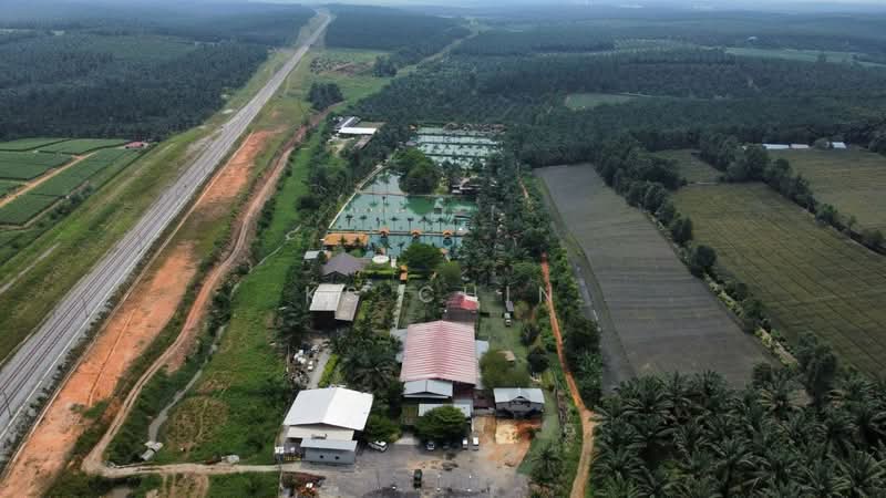 Agricultural Land for Sale in Kulai (Johor) - KS Chin - Exterior - PropertyGuru.com.my