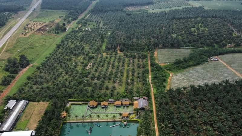 Agricultural Land for Sale in Kulai (Johor) - KS Chin - Exterior - PropertyGuru.com.my