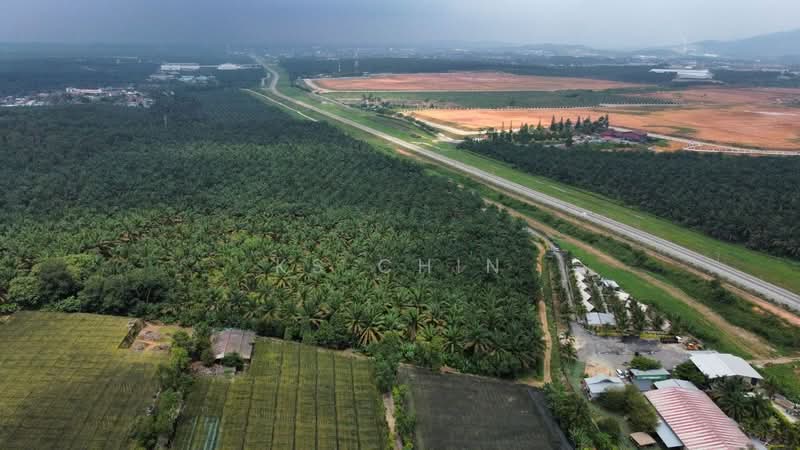 Agricultural Land for Sale in Kulai (Johor) - KS Chin - PropertyGuru.com.my