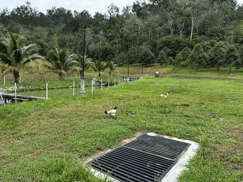 Agricultural Land for Sale in Serendah (Selangor) - Iz Hakim - Garden - PropertyGuru.com.my