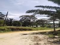 For Sale - Trong Perak