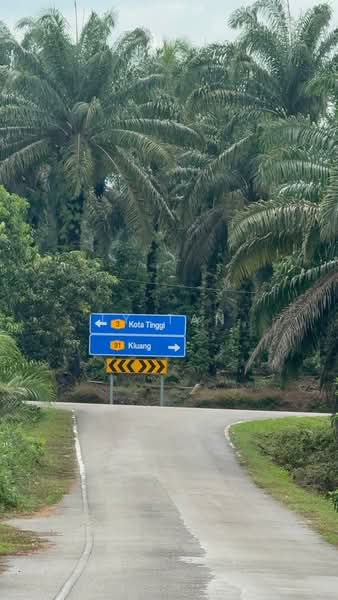 Agricultural Land for Sale in Kampung Bukit Samsu (Kota Tinggi) - TY Tan - PropertyGuru.com.my
