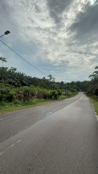 Agricultural Land for Sale in Kampung Bukit Samsu (Kota Tinggi) - TY Tan - Exterior - PropertyGuru.com.my