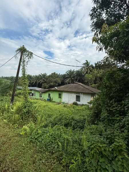 Agricultural Land for Sale in Kampung Bukit Samsu (Kota Tinggi) - TY Tan - Exterior - PropertyGuru.com.my