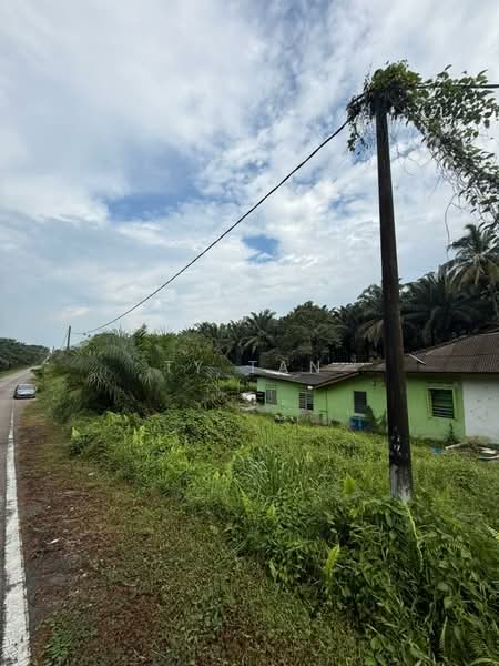 Agricultural Land for Sale in Kampung Bukit Samsu (Kota Tinggi) - TY Tan - Exterior - PropertyGuru.com.my