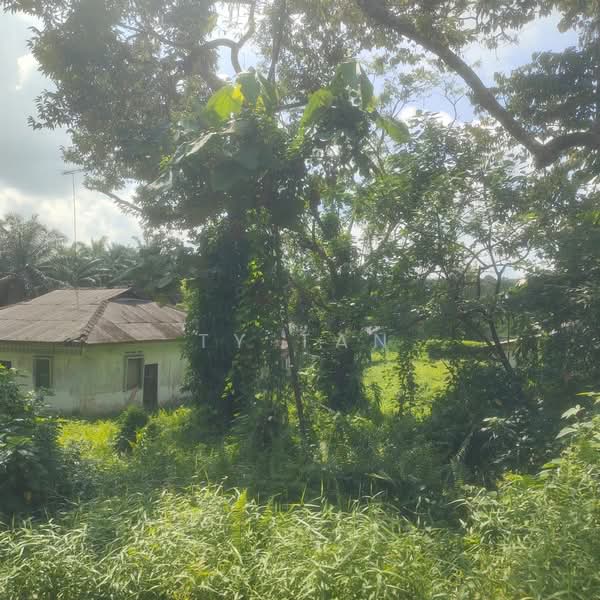Agricultural Land for Sale in Kampung Bukit Samsu (Kota Tinggi) - TY Tan - Exterior - PropertyGuru.com.my