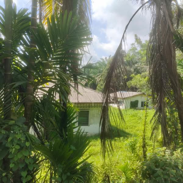 Agricultural Land for Sale in Kampung Bukit Samsu (Kota Tinggi) - TY Tan - Exterior - PropertyGuru.com.my