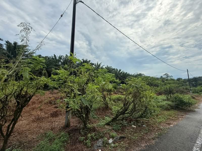 Agricultural Land for Sale in Kampung Bukit Samsu (Kota Tinggi) - TY Tan - Exterior - PropertyGuru.com.my