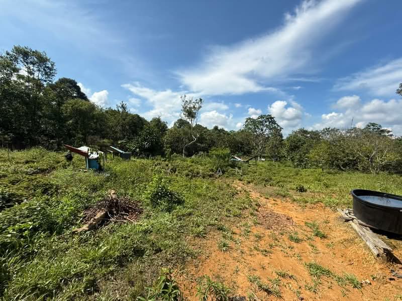 Agricultural Land for Sale in Kampung Desa Makmur (Johor Bahru) - TY Tan - Exterior - PropertyGuru.com.my