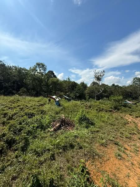 Agricultural Land for Sale in Kampung Desa Makmur (Johor Bahru) - TY Tan - Exterior - PropertyGuru.com.my