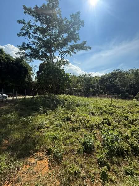 Agricultural Land for Sale in Kampung Desa Makmur (Johor Bahru) - TY Tan - PropertyGuru.com.my