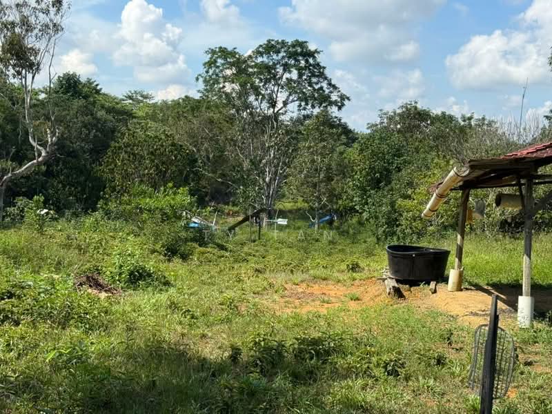 Agricultural Land for Sale in Kampung Desa Makmur (Johor Bahru) - TY Tan - PropertyGuru.com.my