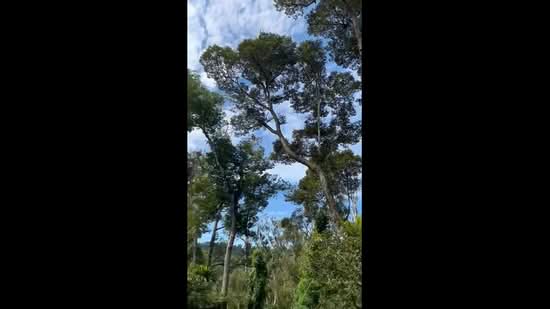 Tanah Pertanian untuk Dijual di Mantin (Negeri Sembilan) - Justin Chan - PropertyGuru.com.my