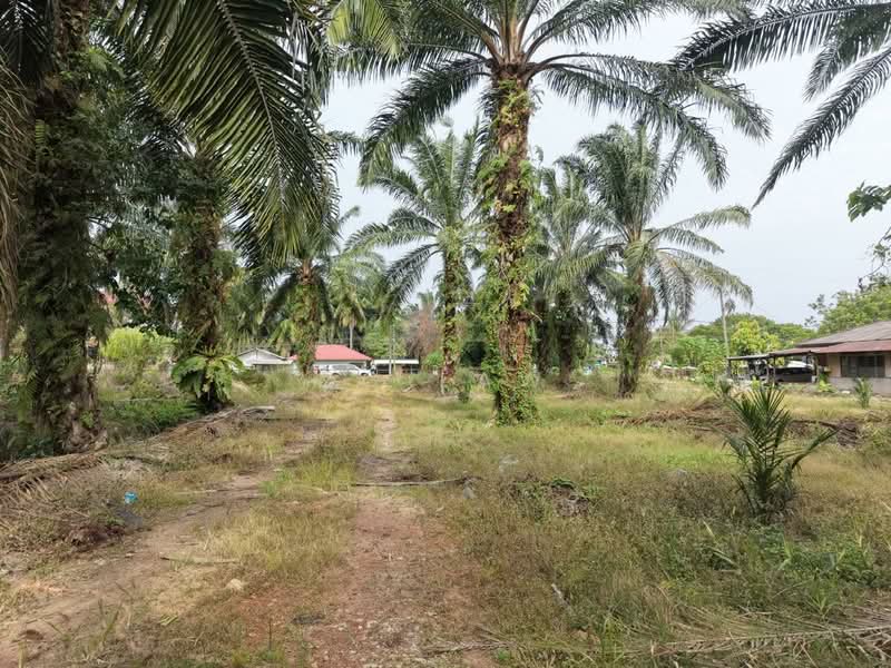 Tanah Pertanian untuk Dijual di Parit Haji Sidek (Batu Pahat) - ZG Law - Exterior - PropertyGuru.com.my