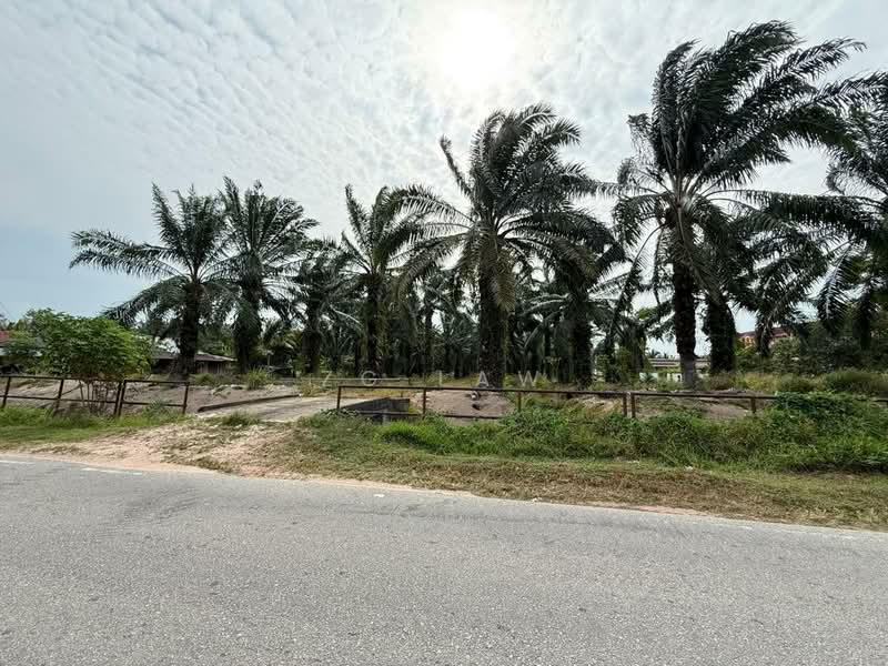 Tanah Pertanian untuk Dijual di Parit Haji Sidek (Batu Pahat) - ZG Law - Exterior - PropertyGuru.com.my