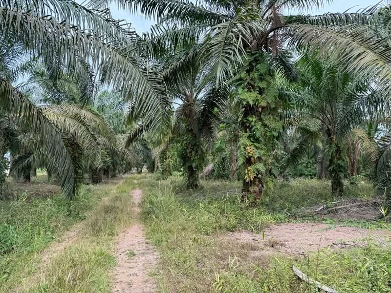 Tanah Pertanian untuk Dijual di Parit Haji Sidek (Batu Pahat) - ZG Law - Exterior - PropertyGuru.com.my
