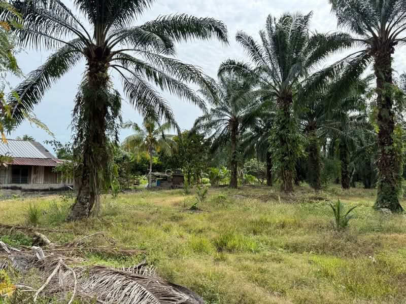 Tanah Pertanian untuk Dijual di Parit Haji Sidek (Batu Pahat) - ZG Law - Exterior - PropertyGuru.com.my
