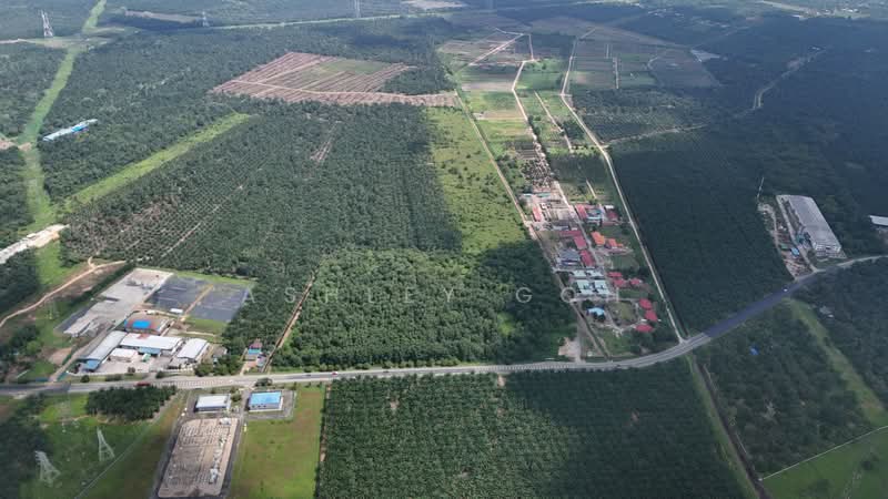 Tanah Perindustrian untuk Dijual di Pontian (Johor) - Ashley Goh - Exterior - PropertyGuru.com.my
