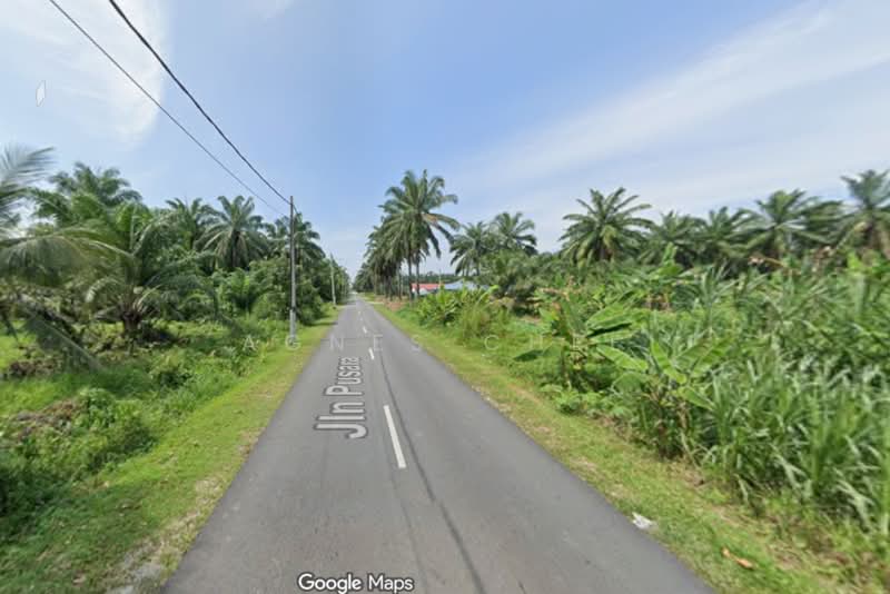 Agricultural Land for Sale in Ijok (Selangor) - Agnes Chee - Exterior - PropertyGuru.com.my