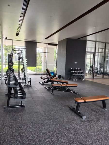 Servis Apartment untuk Disewa di Edelweiss @ Tropicana Gardens - Grace Teow - Gym - PropertyGuru.com.my