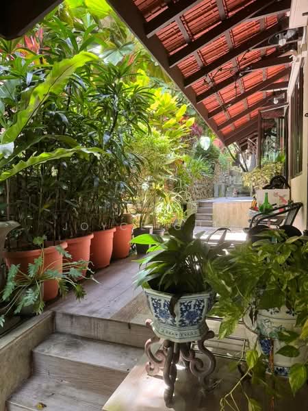 3-storey Terraced House for Rent in Tanjung Bungah (Penang) - Joyce Chin - PropertyGuru.com.my