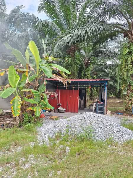 Agricultural Land for Sale in Ipoh (Perak) - Alex Fong - PropertyGuru.com.my