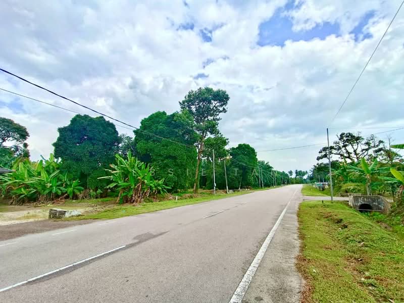 Tanah Pertanian untuk Dijual di Kukup (Johor) - Jessie Tan - Exterior - PropertyGuru.com.my