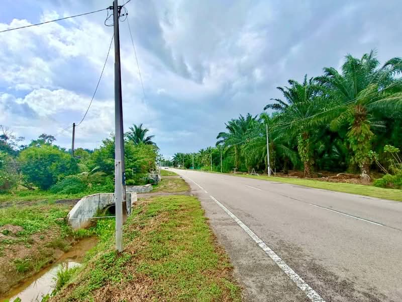 Tanah Pertanian untuk Dijual di Kukup (Johor) - Jessie Tan - Exterior - PropertyGuru.com.my