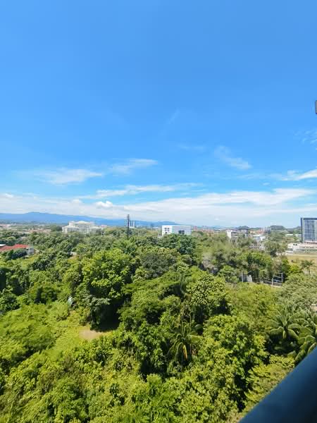 Condominium for Sale at Harrington Suites - shirley Chow - PropertyGuru.com.my