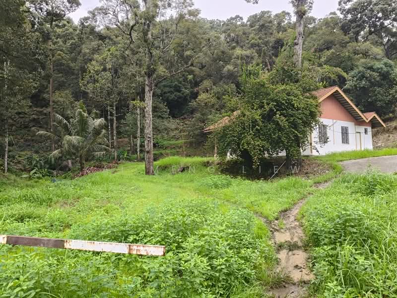 Agricultural Land for Sale in Balik Pulau (Penang) - Kai Meng Liew - Exterior - PropertyGuru.com.my