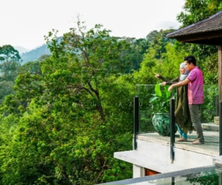 Agricultural Land for Sale in Janda Baik (Bentong) - Saiful Azuan - View - PropertyGuru.com.my