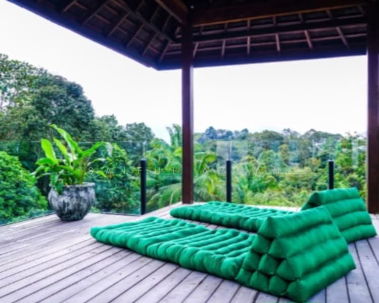 Agricultural Land for Sale in Janda Baik (Bentong) - Saiful Azuan - View - PropertyGuru.com.my