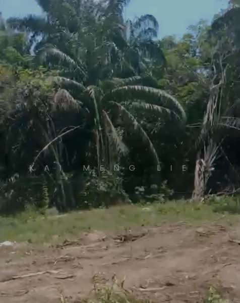 Agricultural Land for Sale in Nibong Tebal (Penang) - Kai Meng Liew - Exterior - PropertyGuru.com.my