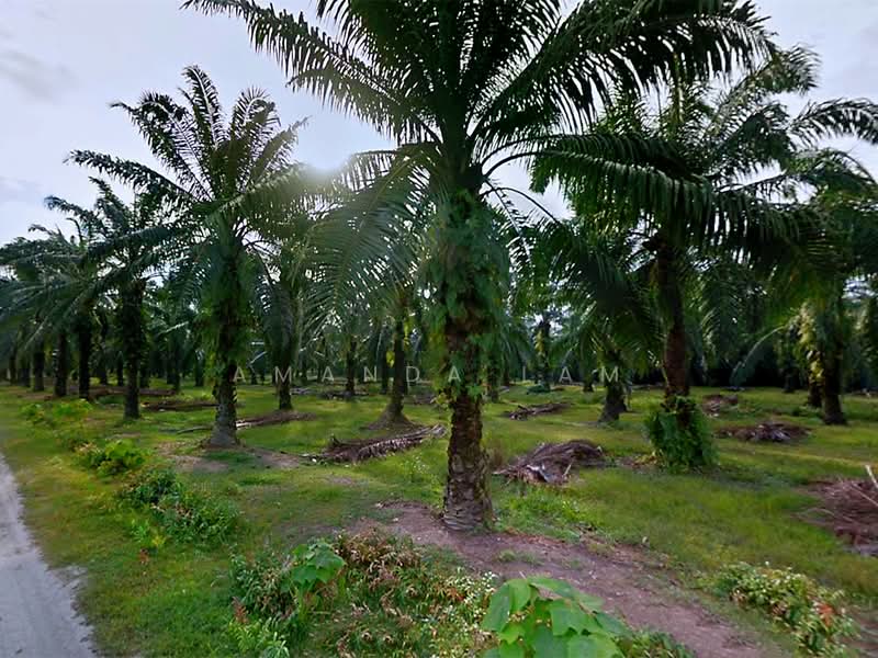 Industrial Land for Sale in Batu Kawan (Penang) - Amanda Lam - Garden - PropertyGuru.com.my
