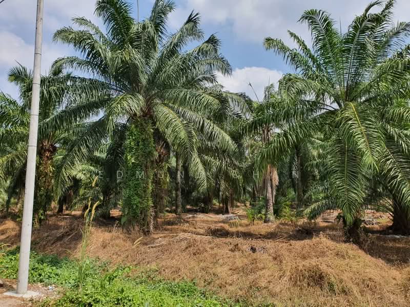 Tanah Kediaman untuk Dijual di Kampung Tok Muda (Kapar) - Edmund Chan - Exterior - PropertyGuru.com.my