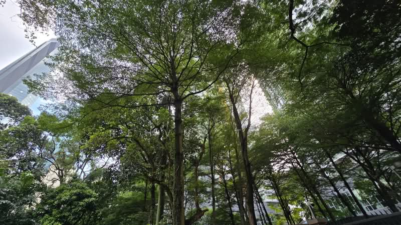 Condominium for Rent at Hampshire Residences - Rehvus Tan - Exterior - PropertyGuru.com.my