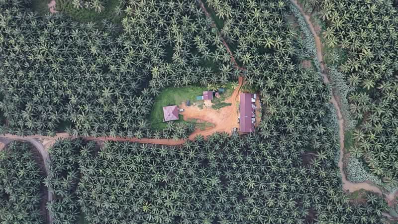 Tanah Pertanian untuk Dijual di Tawau (Sabah) - Peter Tang - Exterior - PropertyGuru.com.my
