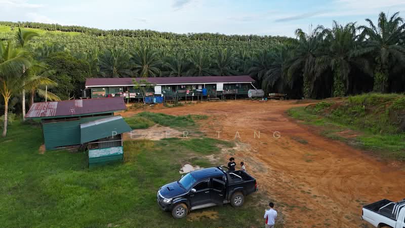 Tanah Pertanian untuk Dijual di Tawau (Sabah) - Peter Tang - Exterior - PropertyGuru.com.my