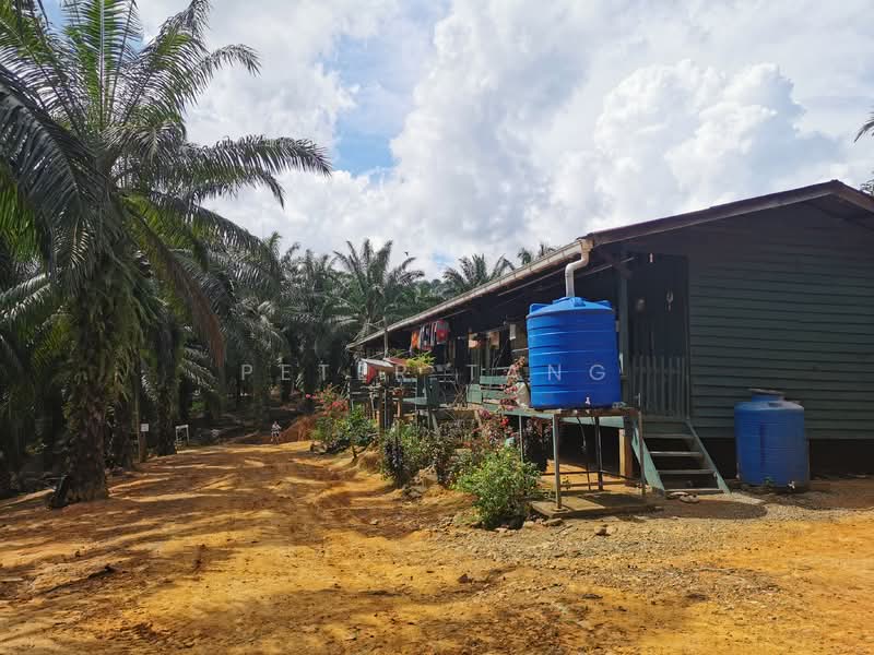 Tanah Pertanian untuk Dijual di Tawau (Sabah) - Peter Tang - Exterior - PropertyGuru.com.my