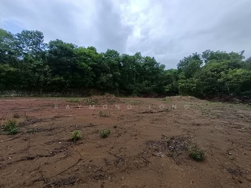Agricultural Land for Sale in Senai (Johor) - Raymond Fong - PropertyGuru.com.my