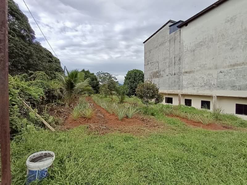 Agricultural Land for Sale in Kota Tinggi (Johor) - Raymond Fong - PropertyGuru.com.my