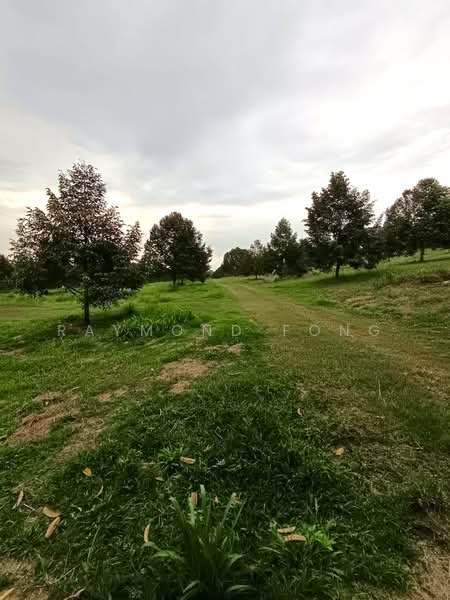 Tanah Pertanian untuk Dijual di Taman Kluang (Kluang) - Raymond Fong - PropertyGuru.com.my
